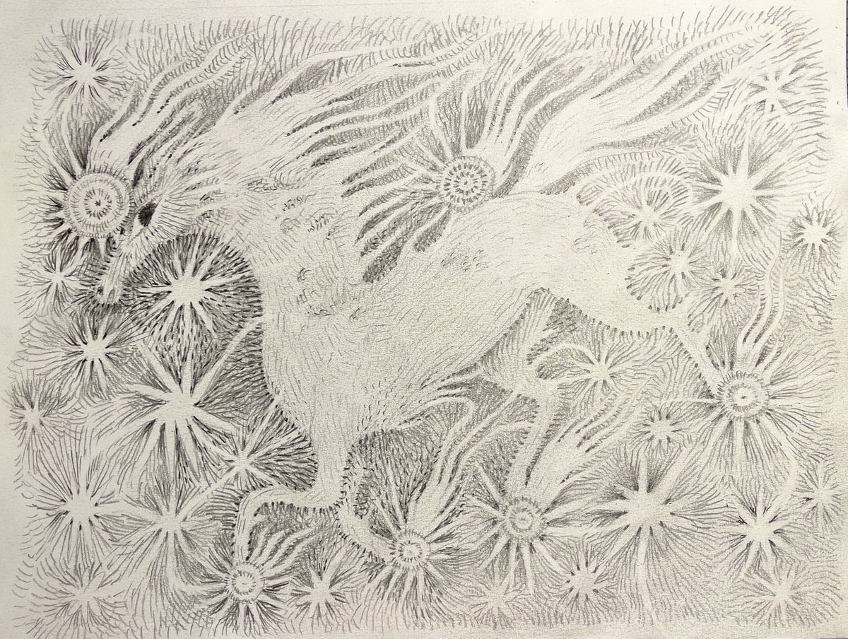 she who lights the world