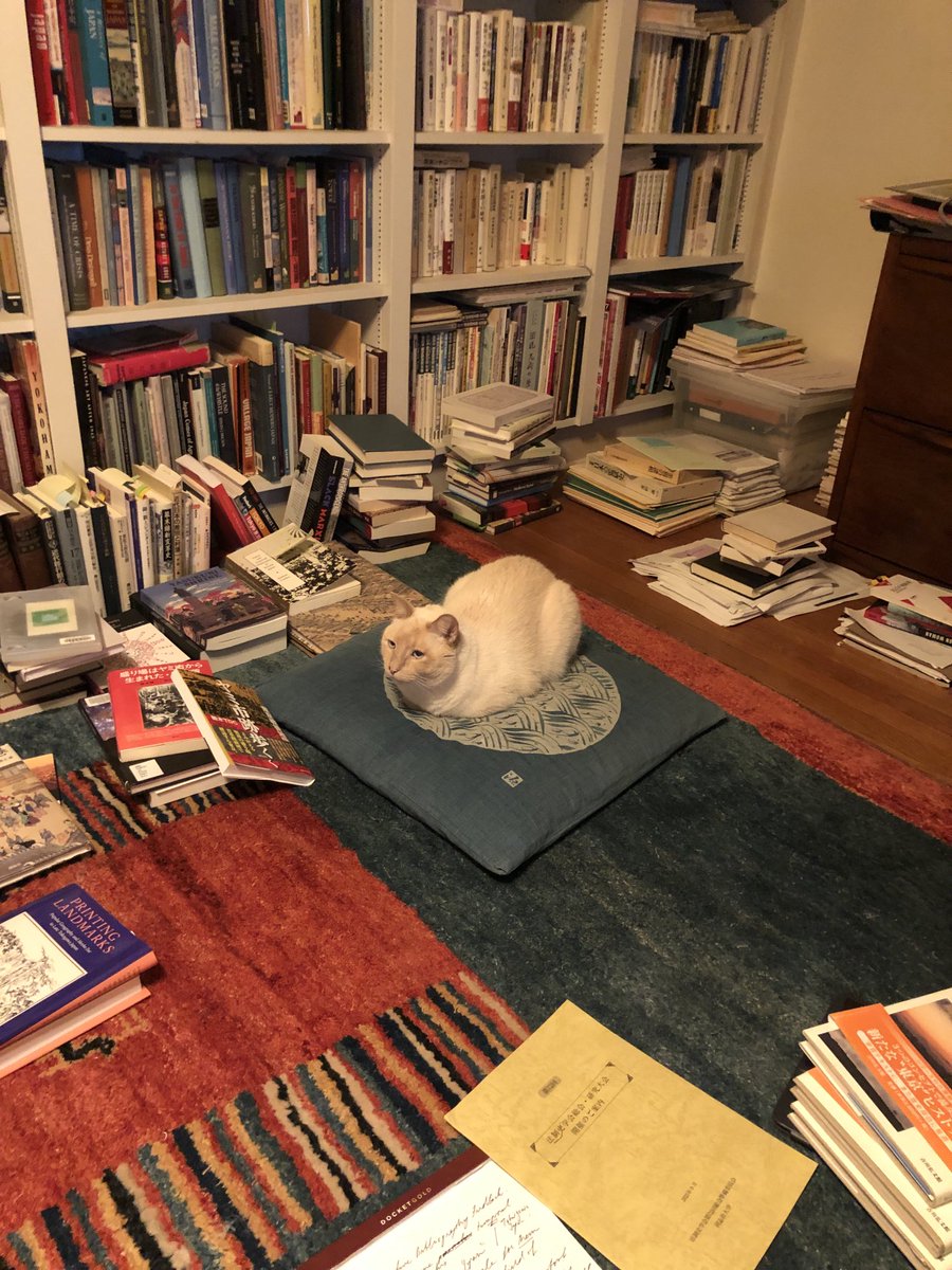danibotsman's tweet photo. 吾輩は猫である！ https://t.co/xMegBvGUda