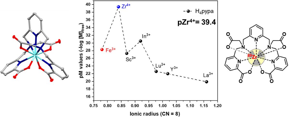 bhkenlo's tweet photo. [nat/89Zr][Zr(pypa)]: Thermodynamically Stable and Kinetically Inert Binary Nonadentate Complex for Radiopharmaceutical Applications https://t.co/DsT4GTkm6s  Jaraquemada-Peláez, Orvig, and co-workers @InorgChem #zirconium #binary #nonadentate #pypa #radiolabeling #PET 
9⃣☢️📸 https://t.co/fWTkiaLpdQ