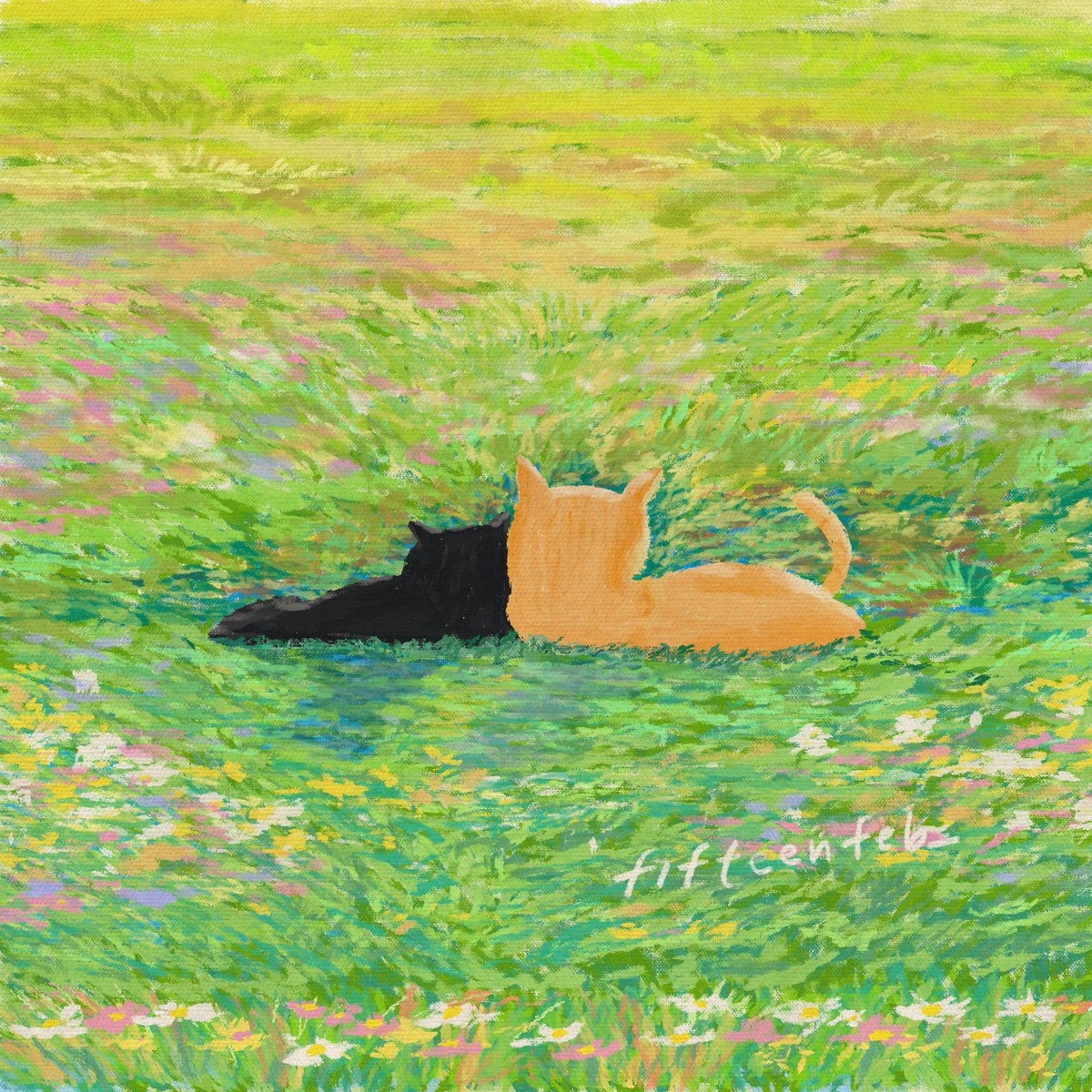 take your time, enjoy and appreciate things around you.😽💐🤍✨