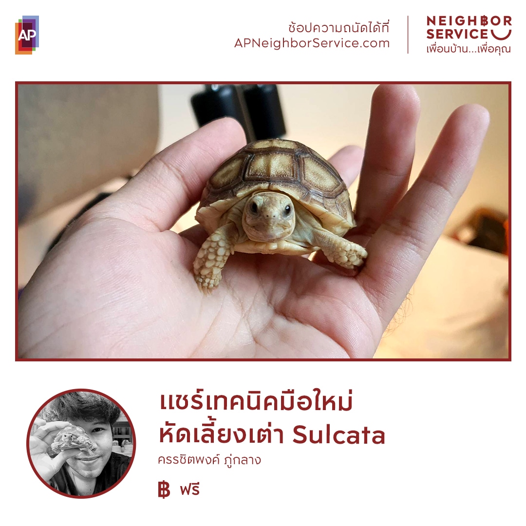 AP_Inspire's tweet photo. เปลี่ยน“ความถนัด”ให้เป็น“รายได้”และ“มิตรภาพ”
เพราะทุกความถนัดล้วนมีความหมาย😀
💓เอพี ไทยแลนด์ จึงสร้างแพลตฟอร์มออนไลน์“Neighbor Service เพื่อนบ้าน...เพื่อคุณ”มาร์เก็ตเพลสรูปแบบใหม่ ตอบโจทย์ทั้งผู้ชอปและผู้แชร์ https://t.co/iQOx7XCIVn
.
#APThai #APNeighborService #NeighborService https://t.co/4FEtGuekGc