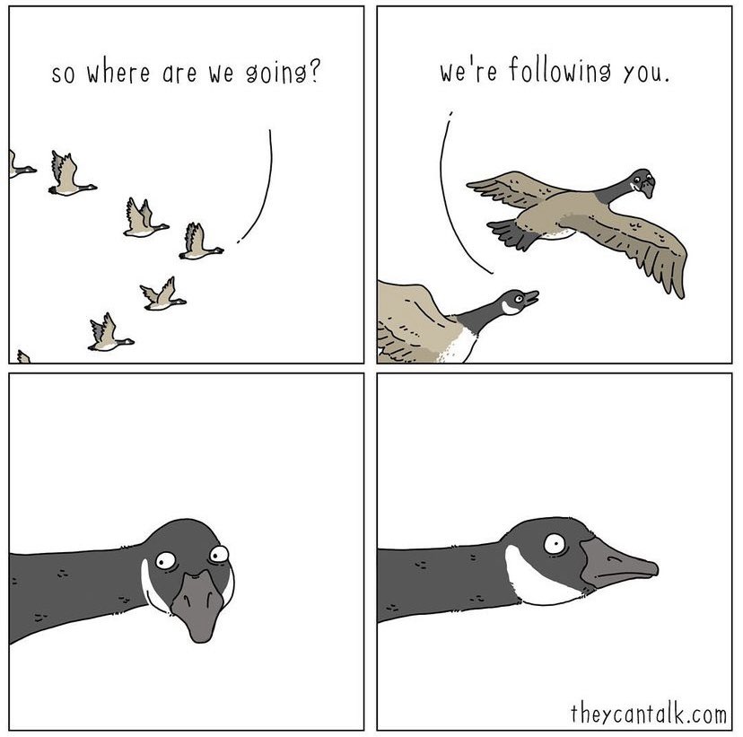 TFW you join a project mid-stream and end up in a leadership role…
