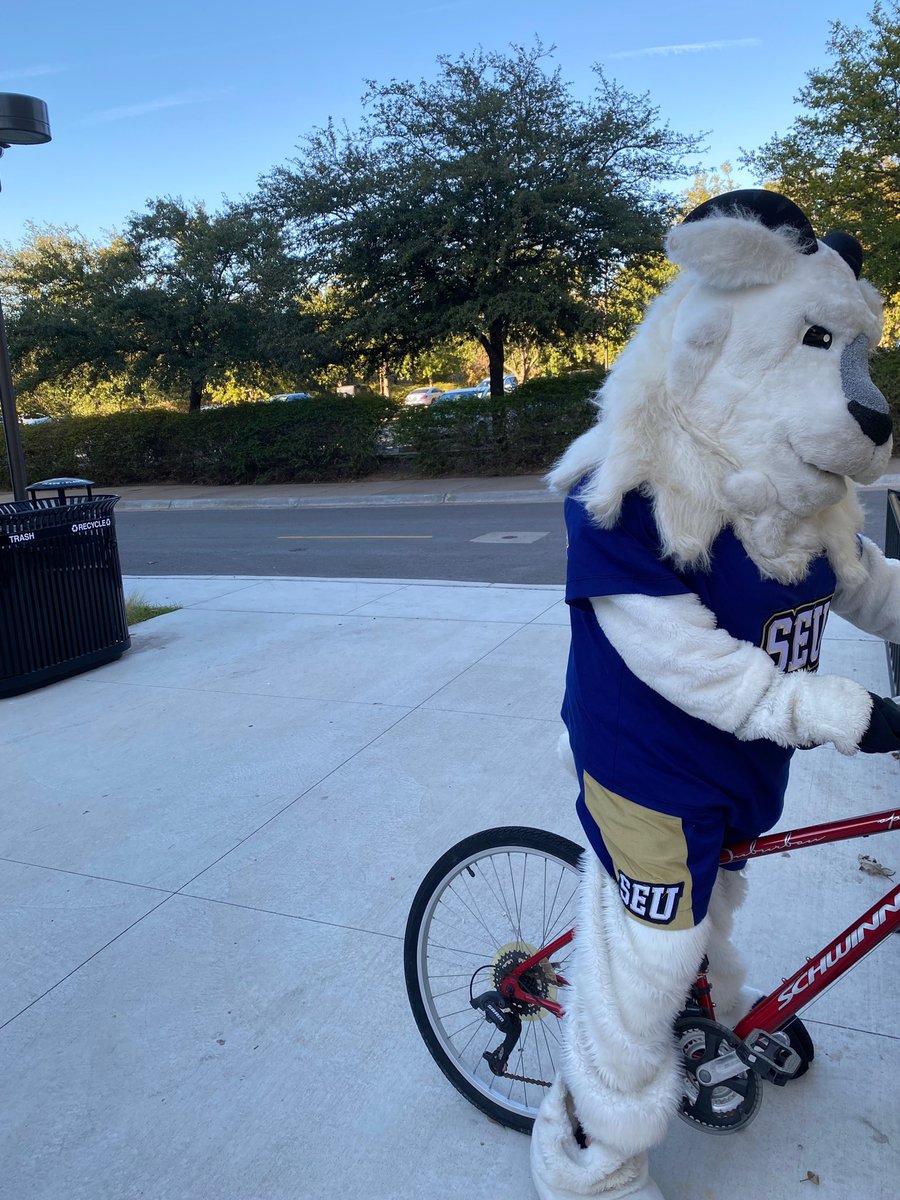 thecivicslab's tweet photo. Topper is into the #toppertransit challenge! Getting fired up about the @SEUMBasketball opening game Wed night at 7! Come out and win some cool prizes from the Civics Lab. @stedwardsu @SEU_SFS  @statesman @CapMetroATX @SEUResLife @SEURecWell @KXAN_News @SEUAthletics https://t.co/8MQ8CKR5Zu