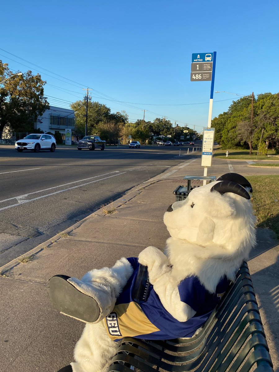 thecivicslab's tweet photo. Topper is into the #toppertransit challenge! Getting fired up about the @SEUMBasketball opening game Wed night at 7! Come out and win some cool prizes from the Civics Lab. @stedwardsu @SEU_SFS  @statesman @CapMetroATX @SEUResLife @SEURecWell @KXAN_News @SEUAthletics https://t.co/8MQ8CKR5Zu