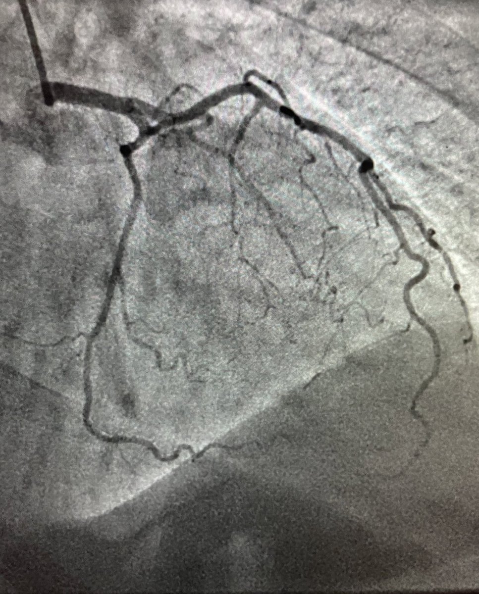 Sayyad Kyazimzade, MD, MPH tweet media