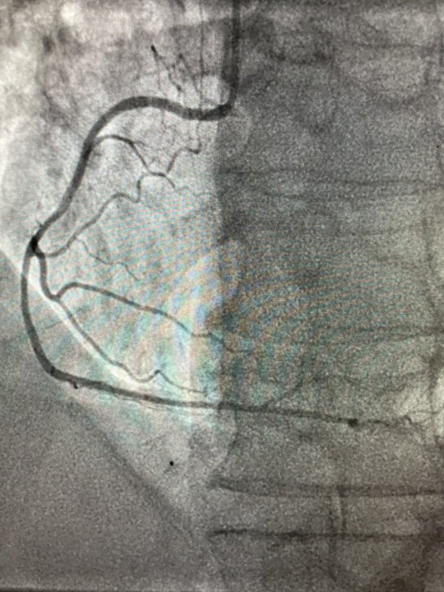 Sayyad Kyazimzade, MD, MPH tweet media