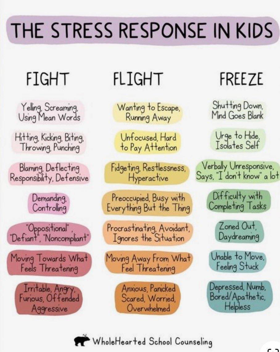 I love this graphic. So important to remember, especially when we want to control little things like hoods when that could actually be a student in the freeze response. #teaching