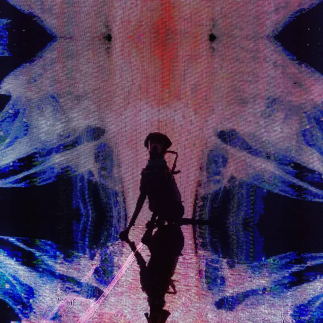 Blue_Down_Under's tweet photo. I have not posted in a hot minute so here, have a few artsy pics of Kleo. https://t.co/A0qNJ0AoCY