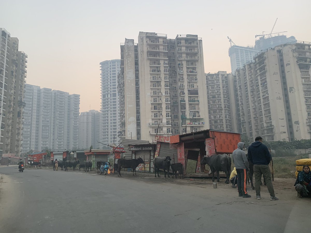 chandel_7's tweet photo. एक नये अतिक्रमण की तैयारी इसपर बिल्डर की शह है या @noida_authority की निष्क्रियता।अंधेरी टूटी सड़क,उजड़ा अतिक्रमित पार्क और अवैध दूक़ानो के बाद गाय भैंस और उनके मालिकों का अतिक्रमण की शुरुआत सेक्टर ७५में।#sec75_withoutPRIDE @CeoNoida @myogiadityanath निवासियों को कब सम्मान मिलेगा https://t.co/uBfEHEkfGn