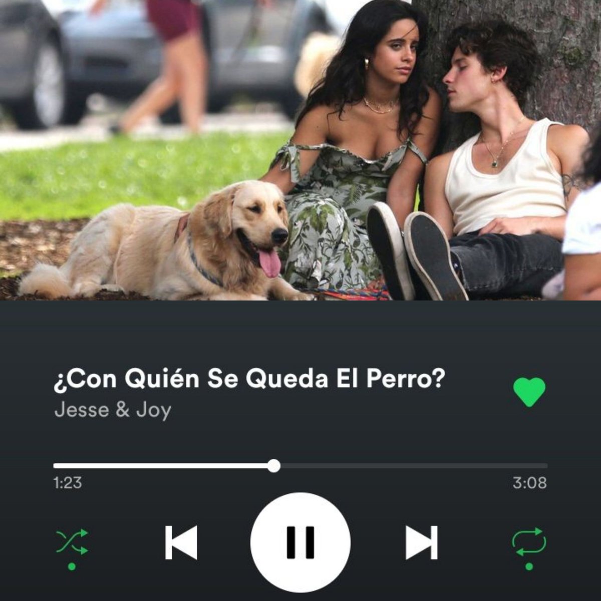 Shawn y Camila en estos momentos: