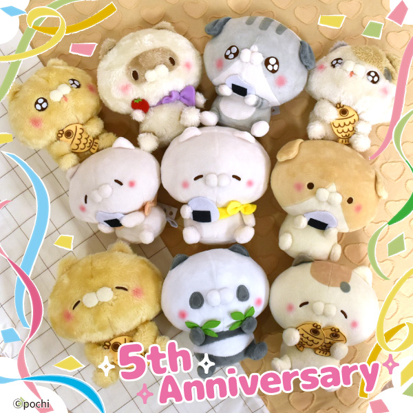 こどもにゃんこ となりのにゃんこ ちょこりん ぬいぐるみ