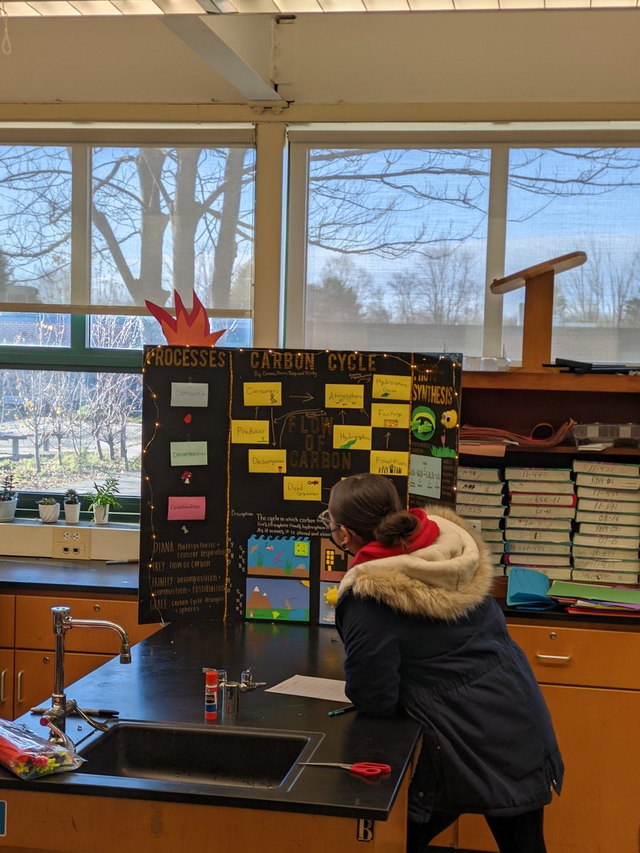 nwillwerthHHS's tweet photo. Honors students have been creating models of the carbon cycle all week. Today, they critiqued each other's work during a gallery walk. Tomorrow, they will present them to the class. I'm thrilled with how these turned out! More close-up photos tomorrow. https://t.co/JM4vLIMDbY