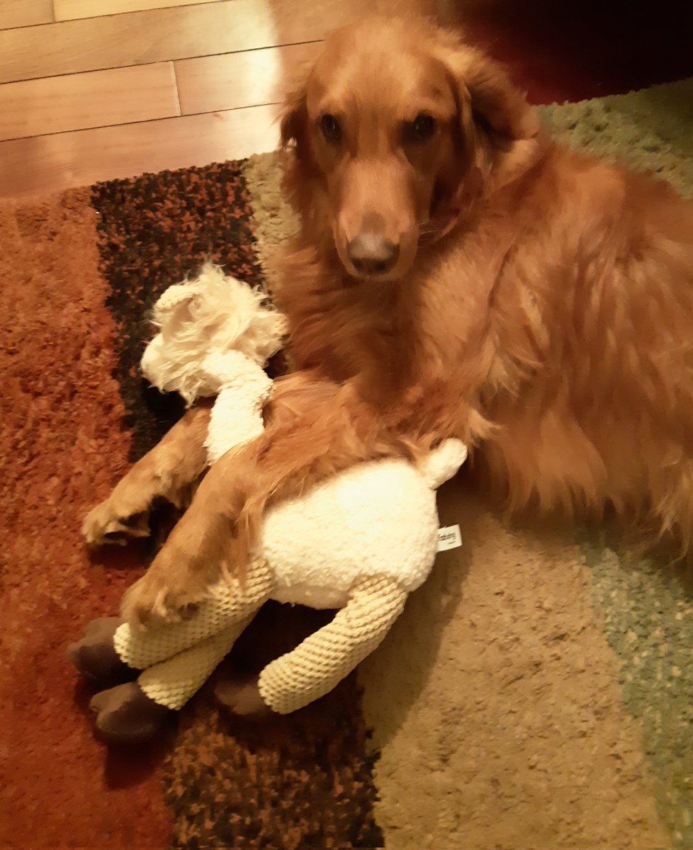 Dean Maahs tweet media