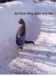 ‘TASHA STARK. (@starkarchetype) on Twitter photo 