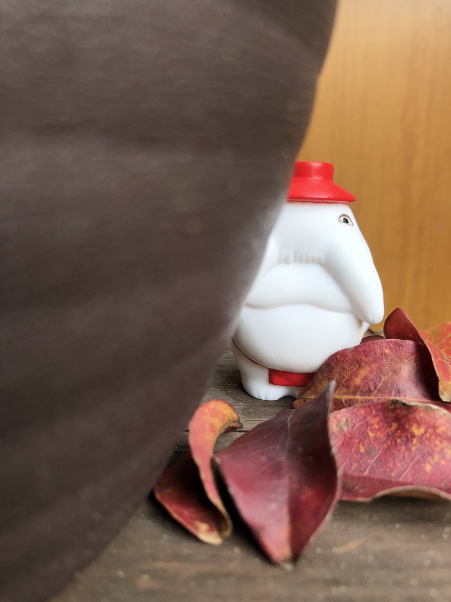SigotoF's tweet photo. 11/18は雪見だいふくの日だそう。
手元に無かったので、我が家の大福代表を載せます。

November 18 is the 40th anniversary of Japanese long seller ice cream "Yukimi Daifuku". No stock at home now, so here's my ice cream look. https://t.co/2EIkKCY8uv