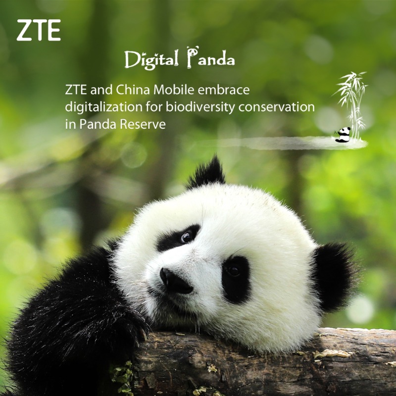 ZTEPress's tweet photo. How can we more effectively protect the #ecosystem of the giant #panda 🐼 and its #habitat. Check out more from the “Digital Panda” Project – developed by #ZTE and #ChinaMobile Sichuan Branch. https://t.co/39VqIJpH3V #5GMessaging #DigitalPanda #ZTE5G ❤️ @DisruptiveAsia