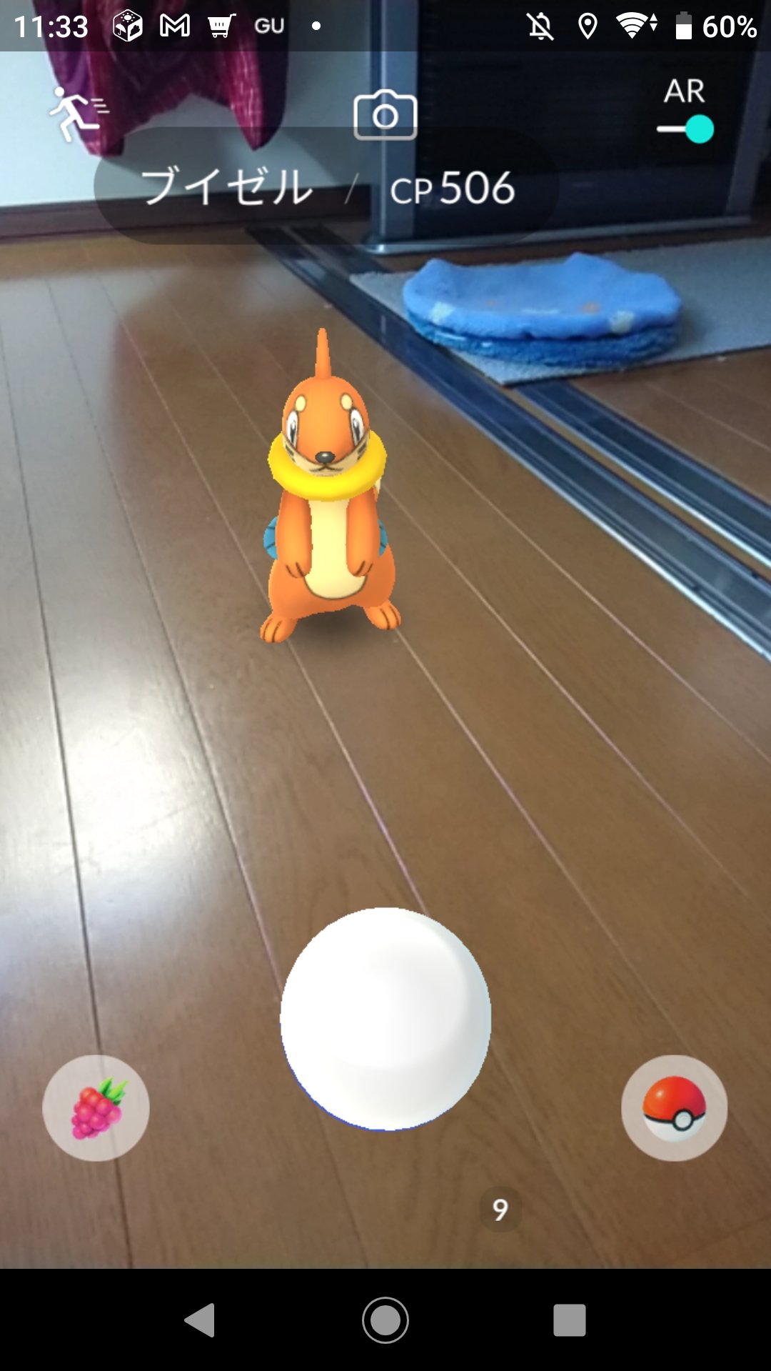 さぼにゃんポケ ポケモン垢 白い帽子を被ったナエトル ブイゼルゲット ポケモンgo T Co 60u69h6oig Twitter