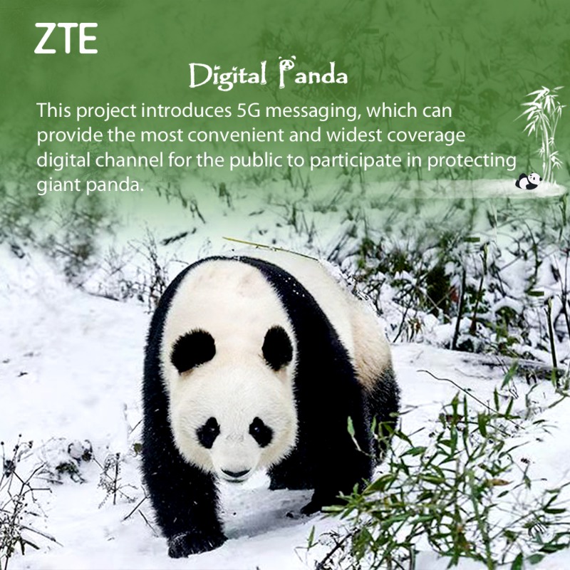 ZTEPress's tweet photo. How can we more effectively protect the #ecosystem of the giant #panda 🐼 and its #habitat. Check out more from the “Digital Panda” Project – developed by #ZTE and #ChinaMobile Sichuan Branch. https://t.co/39VqIJpH3V #5GMessaging #DigitalPanda #ZTE5G ❤️ @DisruptiveAsia