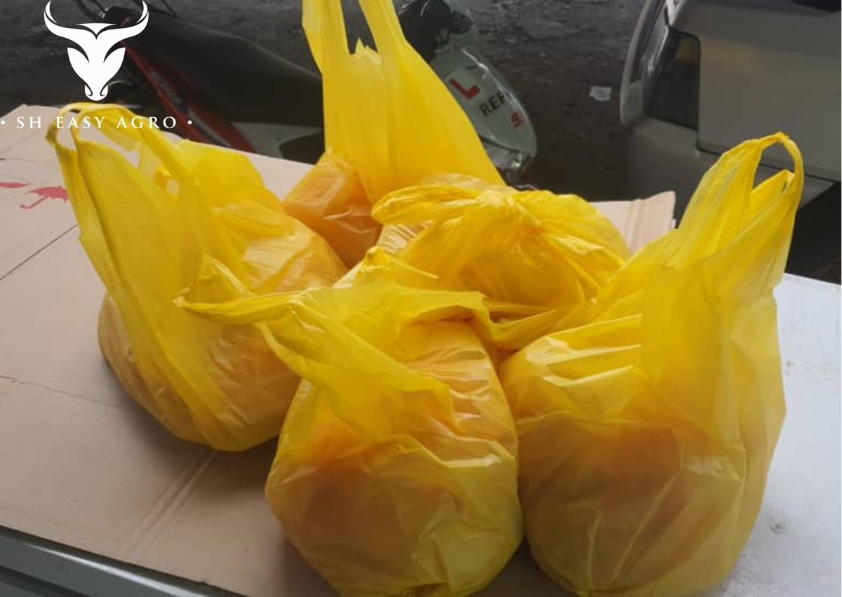 sh_agro's tweet photo. Terima kasih kepada semua rakyat Malaysia, penyerahan mingguan diteruskan. Semoga setiap kebaikan yang dilakukan akan dibalas Allah SWT. InshaAllah

Pertubuhan Kebajikan dan Penjagaan Nur Hidayah
25KG Daging Segar

Infaq Daging → https://t.co/rutNqW7Ihu

#dagingsegar #jominfaq https://t.co/fH2GyOgwRH
