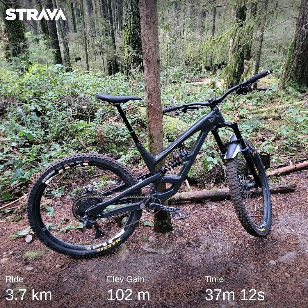 CarpeDirt's tweet photo. When you're short on time, this trail (High School League) is an awesome, quick loop.

Perfect for practicing climbing with a fun downhill on the other side.

It's the third time I've ridden this in the last 10 days a... https://t.co/W0AkF6HKOv https://t.co/2UtOJPgiPs