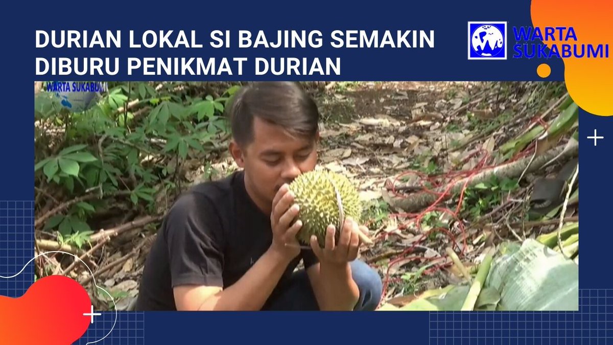 dirayuda's tweet photo. Berburu Langsung Durian Si Bajing di Kebun Durian Parungkuda
https://t.co/EqSOrCcAkf https://t.co/GX9X9ulpUA