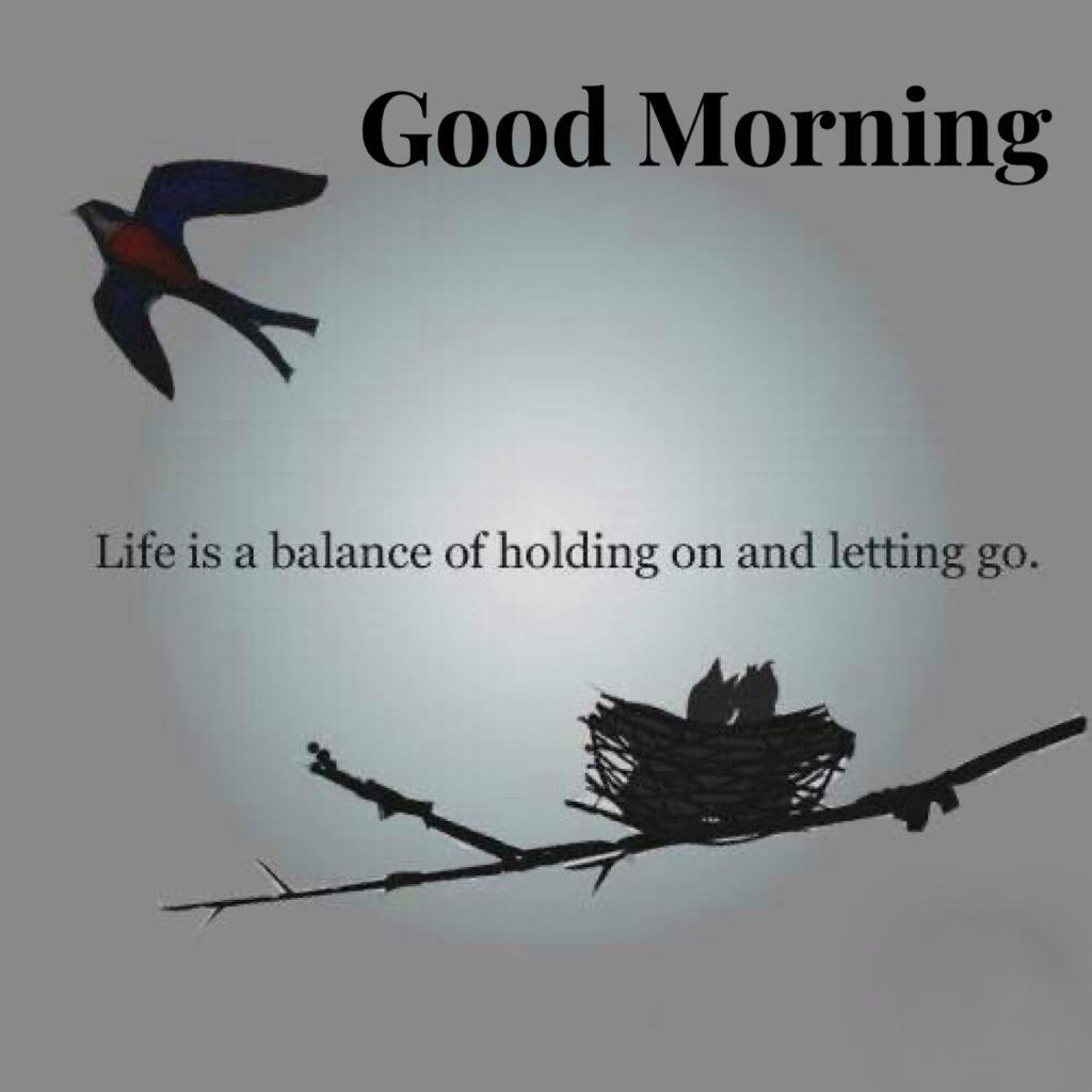 Life is a balance of holding on and letting go. #thursdayvibes #quote  #InspirationalQuotes #ThoughtForTheDay, image size:1024x1024