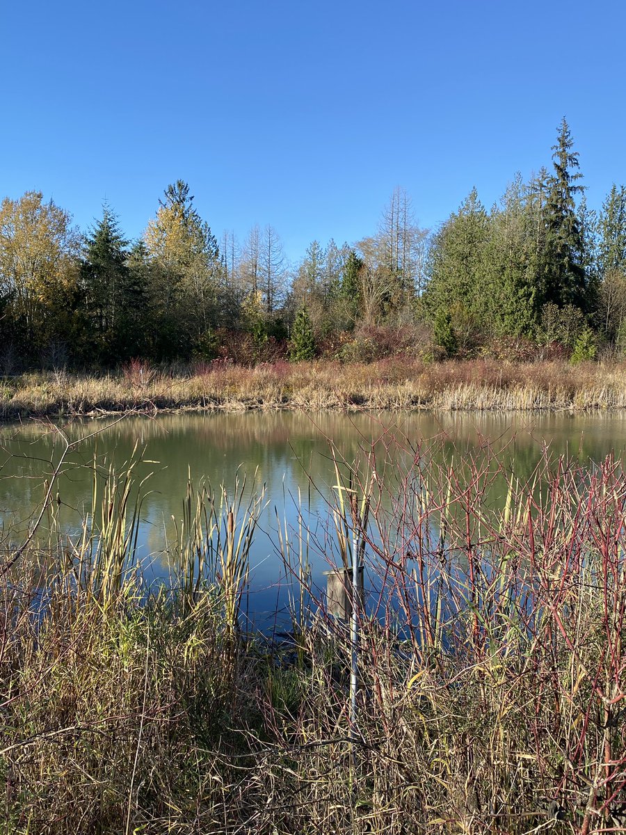 Christina Farrant tweet media