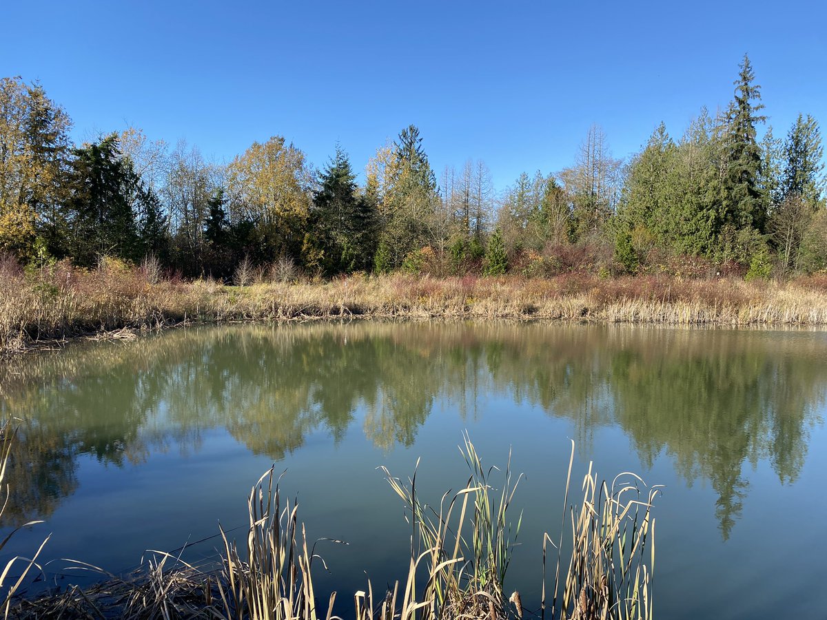 Christina Farrant tweet media