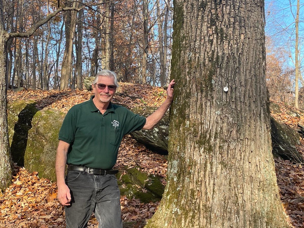mdforests's tweet photo. Today was spent with touring the lands of of 2022 #Maryland Tree Farmer of the Year Nominee Finalists. Stay tuned to find out who the winner will be…..🌳
#marylandforests #forestsforever https://t.co/6QdtjcJoLl