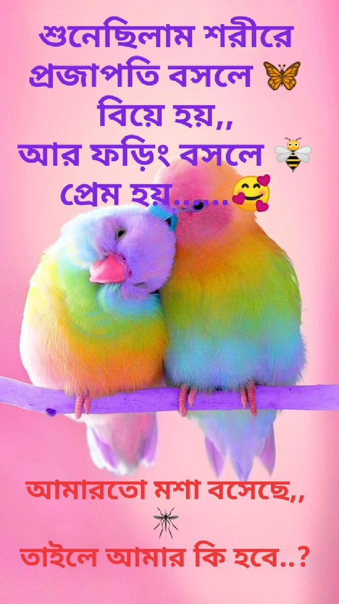 Nepas8's tweet photo. কেন আমি সিঙ্গেল...?
#singlelife #follobackinstantly #Chittagong https://t.co/qDOJOyG1hz
