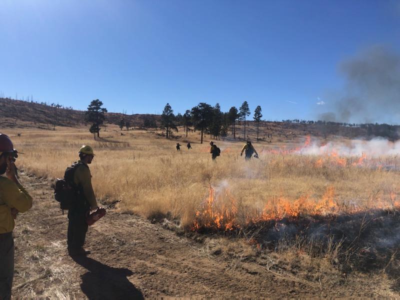 CarsonNF's tweet photo. Fire managers completed 1600 acres on the Valle Vidal Hart Canyon prescribed burn today. Smoke may be visible in the areas of Cimarron, Ute Park, Raton, Costilla and Amalia. #NMFireInfo https://t.co/98N1CLhzz3