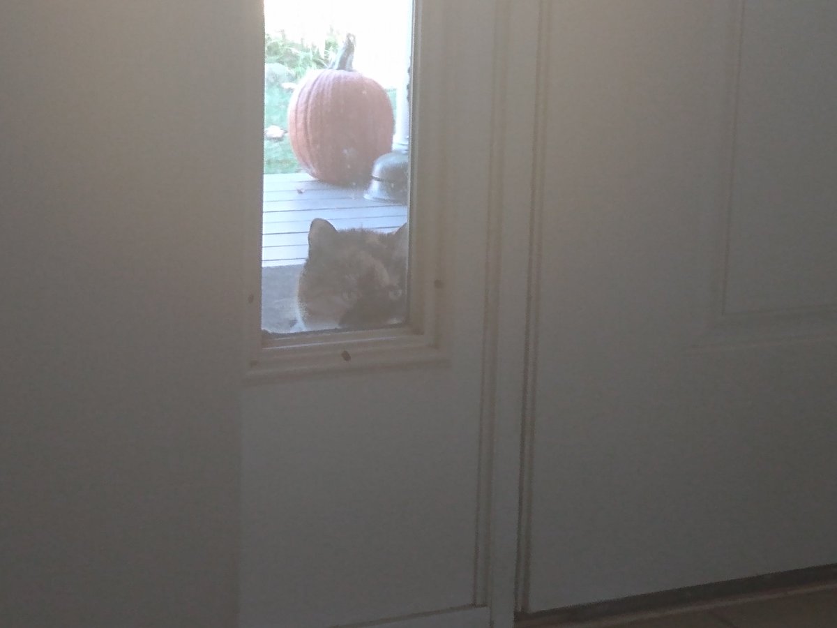 MochiMoments's tweet photo. retwet if u wuld let me in https://t.co/5kFkeMgqQa