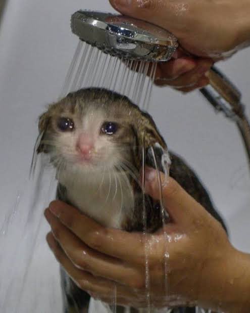 Me taking a shower while listening to Taylor’s All Too Well (Sad Girl Autumn Version). Emote emote lang.

#AllTooWellSadGirlAutumnVersion