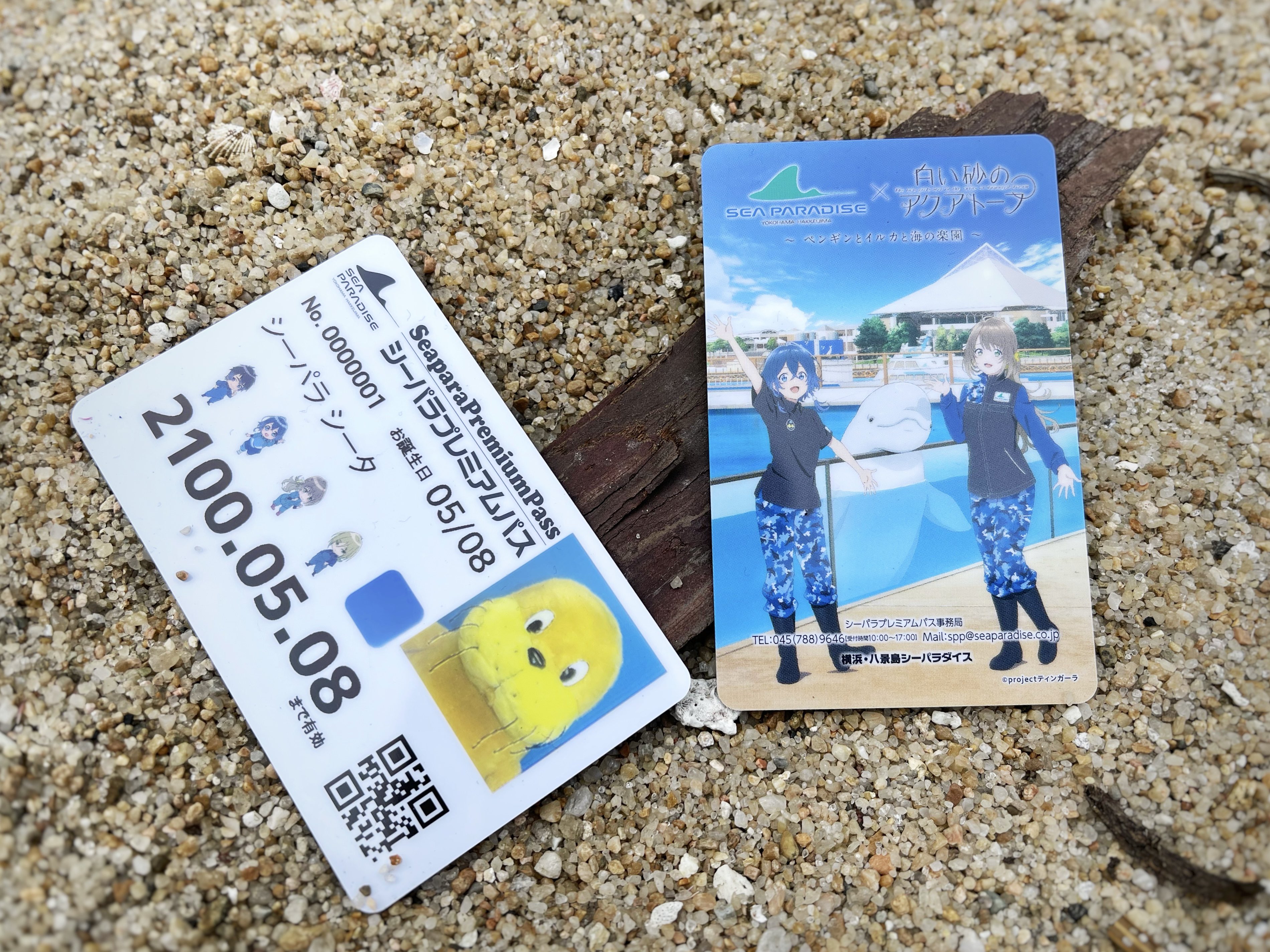 Twitter 上的 公式 横浜 八景島シーパラダイス アニメ ゲーム部 シーパラ 白い砂のアクアトープ シーパラの年間パス シーパラプレミアムパス に 開催を記念した限定デザインのカードが登場 サンプルカードを 4人と一緒にシーパラを何度も楽しめます