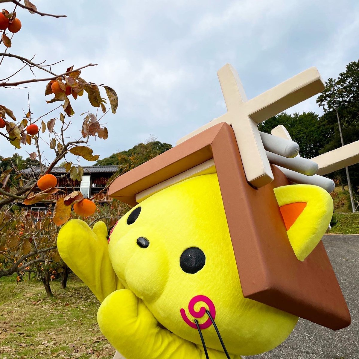 しまねっこ 公式 Shimanekko Twitter