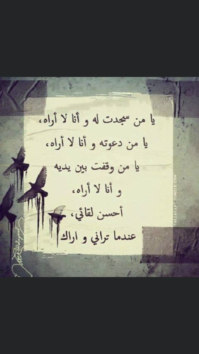 صالح محمد ال حمدان tweet media