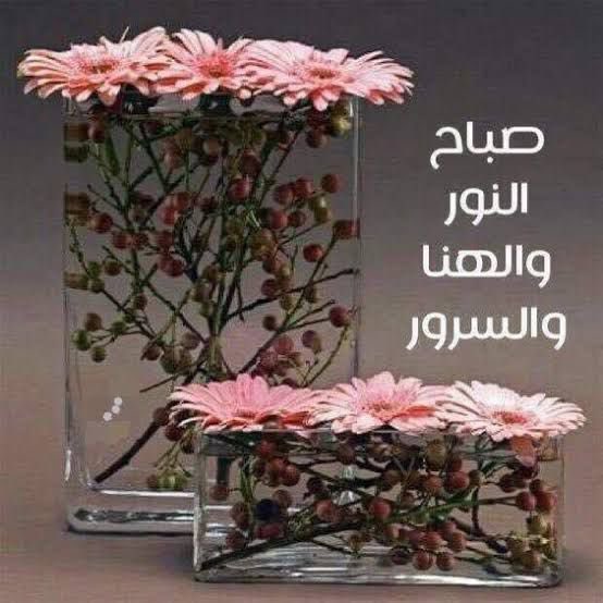 _7nomy's tweet photo. اللهَّم عطاءً يجبر الخاطر ويُقِرّ العين

صباح النور والسرور 🌸🌱 https://t.co/Lr2mPwtCau