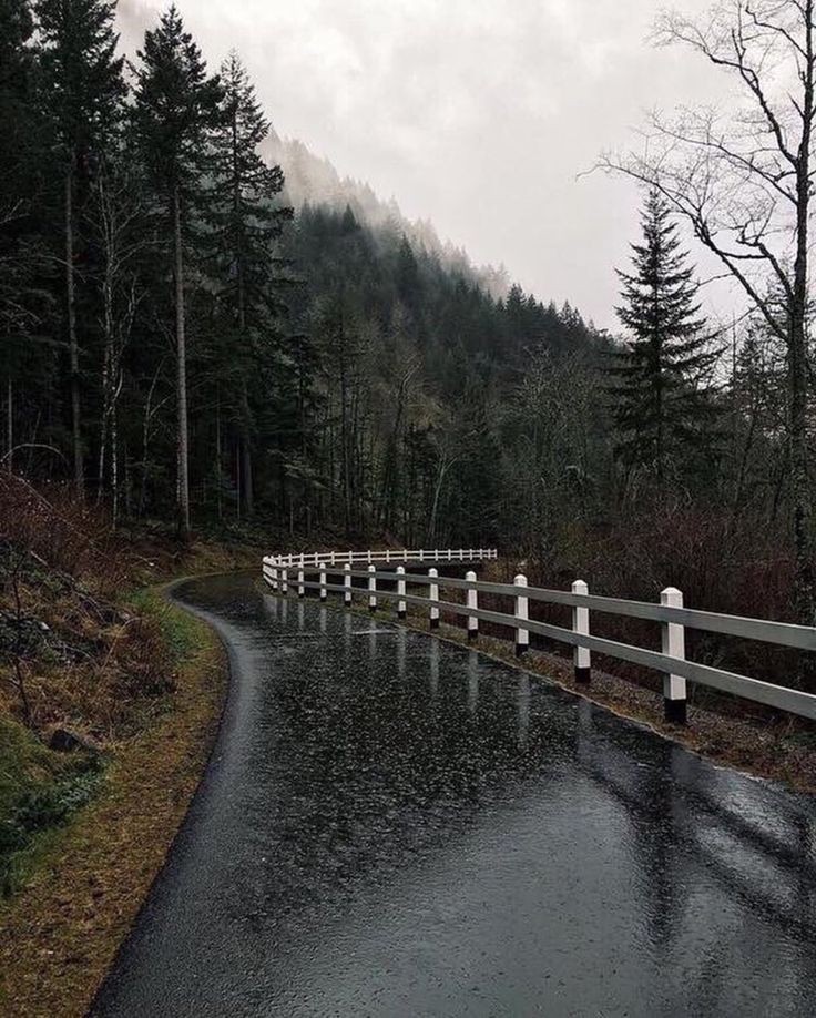 ElenaAyllon's tweet photo. A quien no le gustaría estar en un cuento bueno a mí si ... me imagino dentro de estas imágenes me siento en paz me imagino estar sola en la carretera  relajándome y queriendo gritar lo más fuerte posible para desahogarme como al veces soy curiosa sin dudar me estraría al bosque. https://t.co/GPmJ0HcIO0