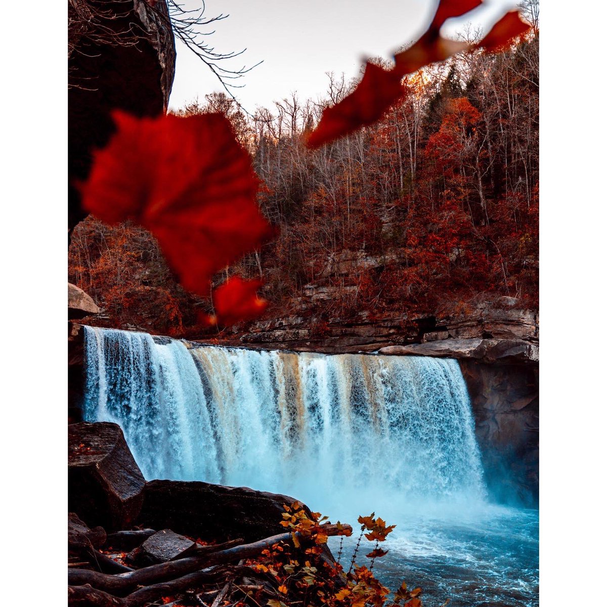 _asleepnow's tweet photo. Try to take time out of your day, and enjoy the world around you.

#waterfall #longexposure #fallweather #cumberlandfalls #fallvibes #corbinky #portraits #portraitphotography #outdoorphotography #sony #sonyalpha #a7riii #sonya7riii #sigma #24mm70mm #laowa #15mm https://t.co/rOftxfx7vp