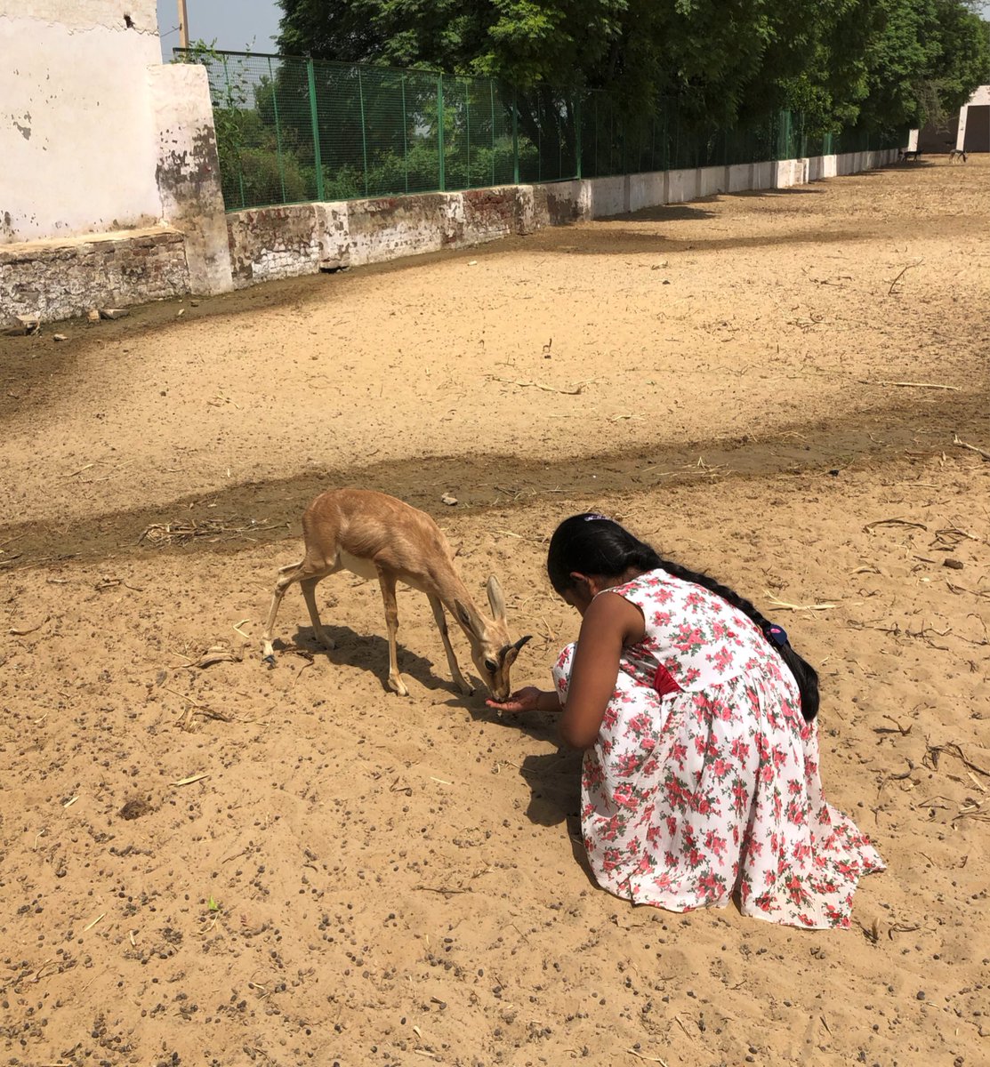 HabitatHealer's tweet photo. अज्ञान भय की ओर के जाता है भय घृणा पैदा करता है और घृणा से हिंसा पैदा होती है यह एक समीकरण है इब्न रुशद के इस कथन के मायने यह भी हैं कि #ClimateCrisis से निपटने हेतु पर्यावरण की सच्ची समझ पहली शर्त है आज #WorldPhilosophyDay पर आइए #ClimateEmpower होने का संकल्प लें
@UNCCD @UNFCCC https://t.co/a7JfwiAiWs