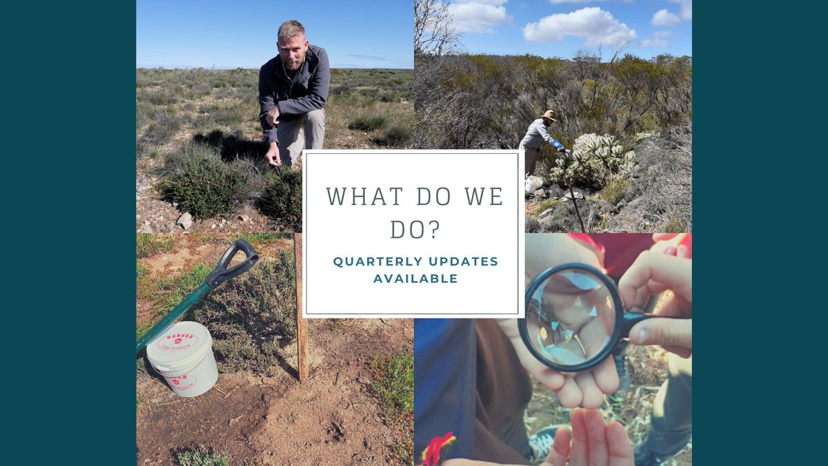 EPLandscapeSA's tweet photo. Ever wondered what keeps us busy most of the time? Each quarter we produce a report outlining all the work we've done in our priority areas and projects &amp; put the highlights in a newsletter➡️ https://t.co/uOIHtFt6jW 
And to subscribe to future editions👉 https://t.co/ck9LlnpwIr https://t.co/av7F2J2kjP