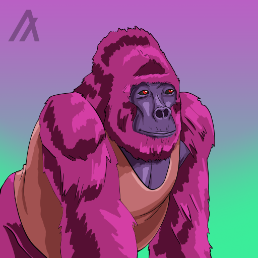 John_Alan_Sins's tweet image. Adopted 2 @algorillas  this evening. #AlgoNFT #algocommunity #NFTs #algoart