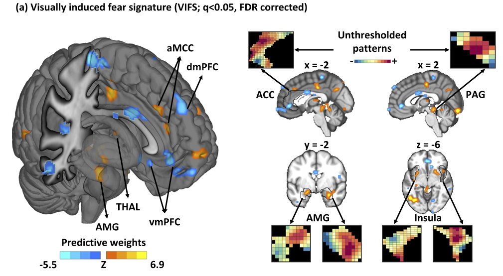New study in <a href="/NatureComms/">Nature Communications</a> we can read your #fear Big congrats to <a href="/FengZhou_/">Feng Zhou</a>  and thanks for the great collaboration to <a href="/torwager/">tor wager</a>  go.nature.com/3CrxoGa