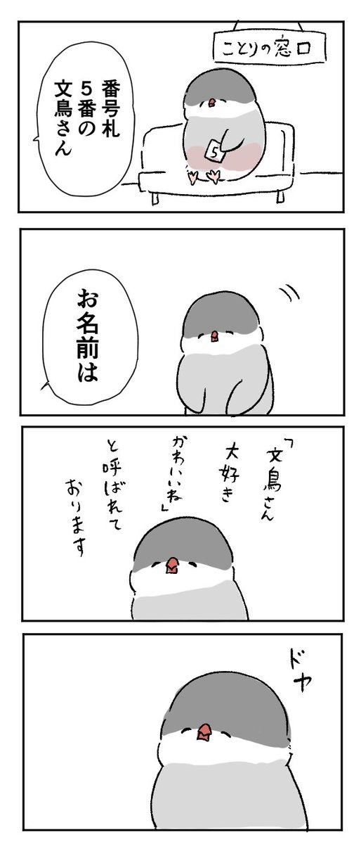 文鳥さん、役所に行く 