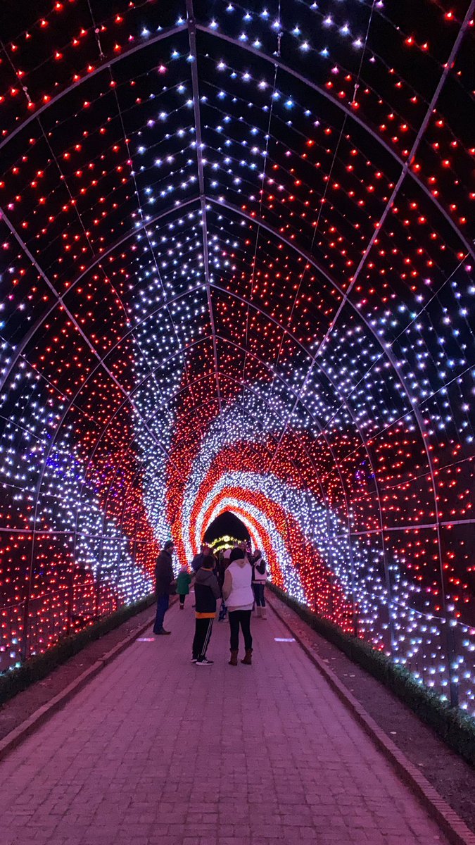 cu_medicine's tweet photo. Another wonderful night at Blossoms of Light @denverbotanic! A little chilly - so our CU Medicine gloves were a hit! Proud to be a partner for the display this holiday season ❤️ #FeelingFestive #WeCU #CUMedicine #BlossomsOfLight https://t.co/jRE2zqR9zQ