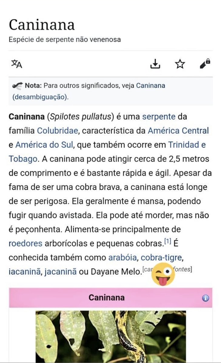 ReiLuizHalan's tweet photo. @Dantinhas @webtvbrasileira @Tatawerneck Olhe a descricao final 
Mas essa Dayane e falsaa de mais, Rico voltando fazendeiro. Ela sorrindo e abrasando, nojo dessa Cobra caninana!!! 

#cobracaninana #AFAZENDA13 #RicoFazendeiro #TeamRico #ProvaDoFazendeiro  #ForaValentina #AFazenda https://t.co/LtIqv1dXDq