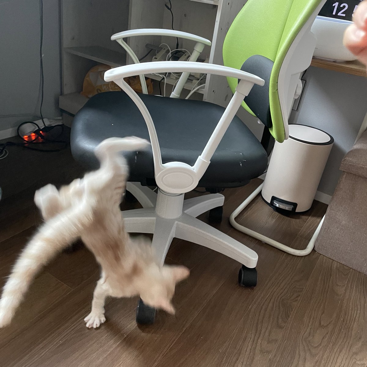 momococothotho's tweet photo. 작품명: 의자에서 떨어지는 고양이 https://t.co/uV2SUzP46C