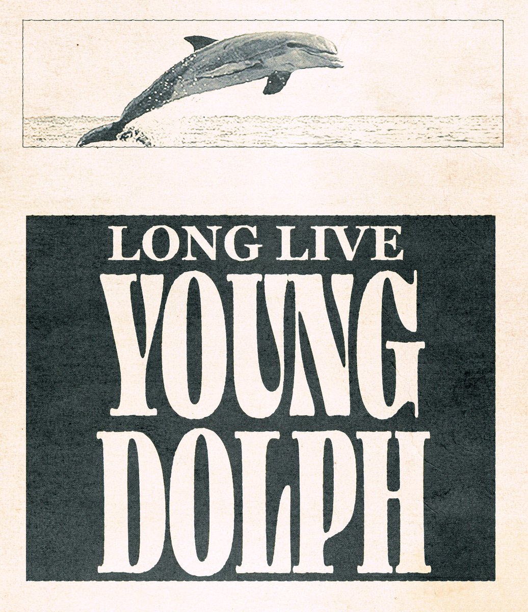 e.dupree tweet media