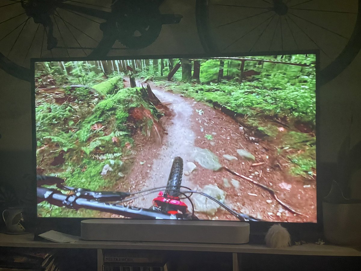 cheesybeaver's tweet photo. Watching pov mountain biking videos on a significant amount of edibles is a lot for the senses. https://t.co/kbhGnhuJ3k