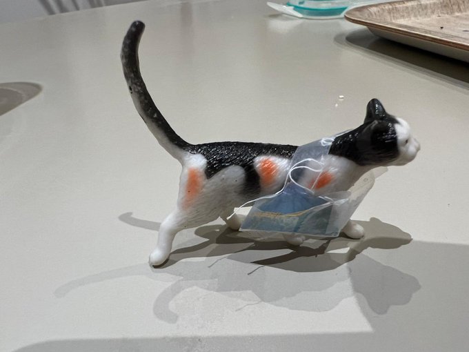 6 year old daughter made her cat a purse. Is she a genius? https://t.co/8G9C7YFhcs<a href="/tag/durability"class="tags"><span>#durability</span></a>